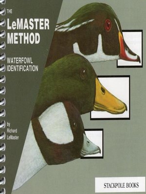 cover image of Waterfowl Identification